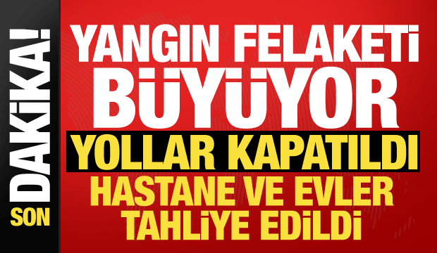 Muğla, Balıkesir ve Antalya'da orman yangını! Alevler kontrolden &ccedil;ıktı, karayolu kapatıldı