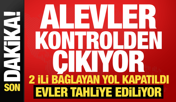 Muğla ve Antalya'da orman yangını! Alevler kontrolden &ccedil;ıkıyor, karayolu kapatıldı
