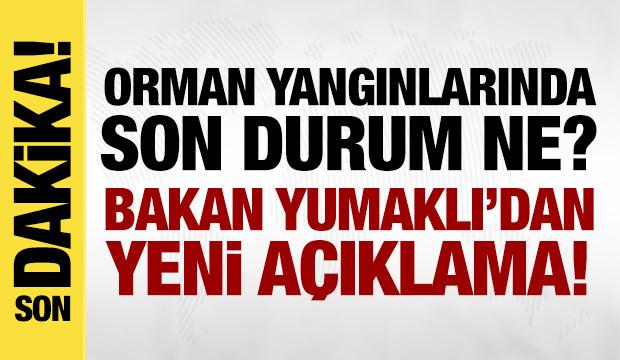 Orman yangınlarında 3. g&uuml;n! Mahalleler tahliye edildi, yaralılar var!