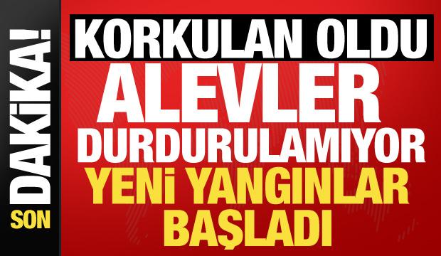 R&uuml;zgar yangınları b&uuml;y&uuml;tt&uuml;! Bakan Yumaklı'dan a&ccedil;ıklama: Kritik saatler...