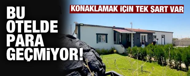 Bu otelde para ge&ccedil;miyor! Konaklamak i&ccedil;in tek bir şart var