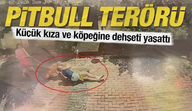 Dehşet anları kamerada: Pitbull k&ouml;peği par&ccedil;alarcasına ısırdı, k&uuml;&ccedil;&uuml;k kızı savurdu