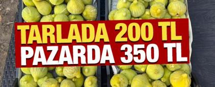 Hasat başladı! Tarlada 200 TL, pazarda 350 TL