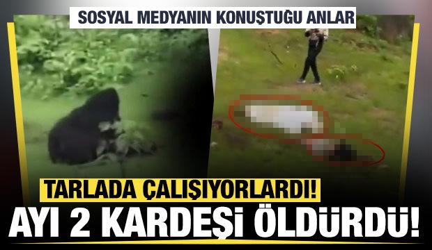 Hindistan'da ayı dehşeti! 2 kişiyi &ouml;ld&uuml;rd&uuml;
