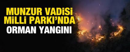 Munzur Vadisi Milli Parkı'nda orman yangını