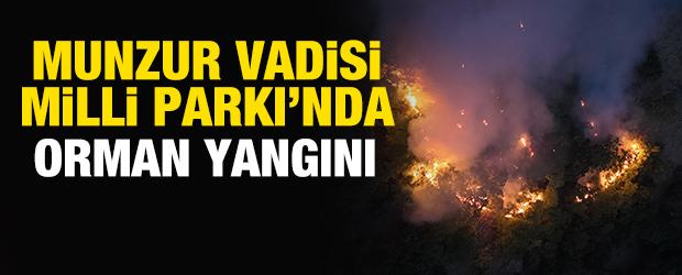 Munzur Vadisi Milli Parkı'nda orman yangını