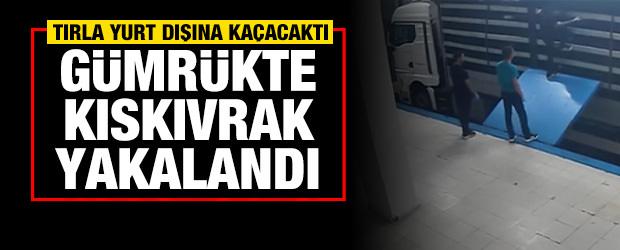 Organize su&ccedil; ş&uuml;phelisine sınırda kıska&ccedil;: Tır kasasında yakalandı