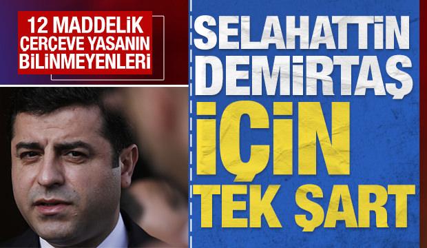 Selahattin Demirtaş i&ccedil;in 'tek' şart: 12 maddelik &ccedil;er&ccedil;eve yasanın bilinmeyenleri