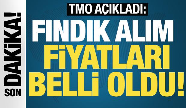SON DAKİKA: Fındık alım - satım fiyatı belli oldu!