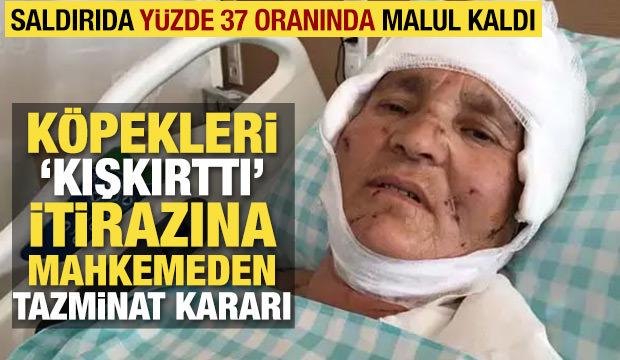 Kırşehir'de k&ouml;pek saldırısına uğrayan 63 yaşındaki kadına tazminat &ouml;denecek