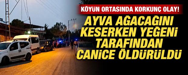 K&ouml;yde korkun&ccedil; olay: Ayva ağacı keserken yeğeni tarafından canice &ouml;ld&uuml;r&uuml;ld&uuml;