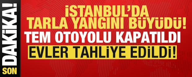 Silivri'de tarla yangını b&uuml;y&uuml;d&uuml;: TEM otoyolunda trafik durdu!