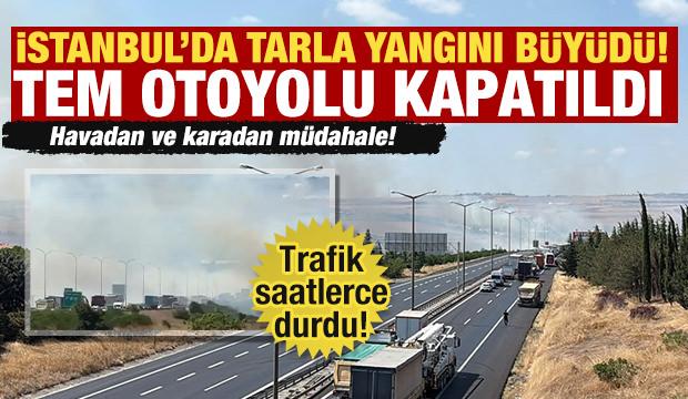 Silivri'de tarla yangını b&uuml;y&uuml;d&uuml;: TEM otoyolunda trafik durdu!