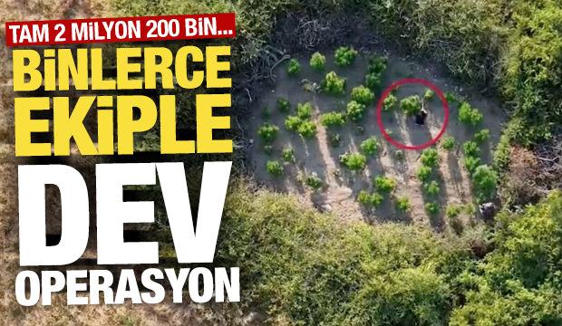 Sosyal medyadan uyuşturucu satan &ccedil;eteye darbe: 96 ş&uuml;pheli yakalandı