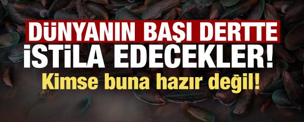  H&uuml;rm&uuml;z&rsquo;deki gemilerden yeni tehdit: Biyolojik istila alarmı! D&uuml;nya buna hazır değil!