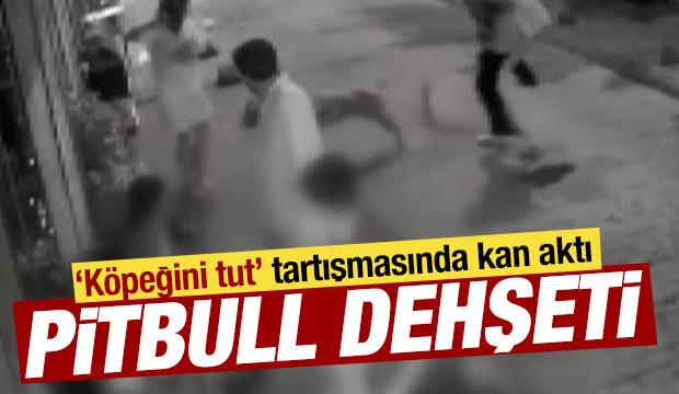 &lsquo;K&ouml;peğini tut&rsquo; uyarısı dehşete d&ouml;n&uuml;şt&uuml;: Pitbull sahibini 3 yerinden bı&ccedil;akladı