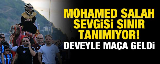 Salah sevgisi sınır tanımıyor; deveyle ma&ccedil;a geldi
