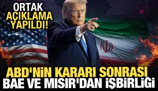ABD'nin yaptırım kararının ardından BAE ve Mısır merkez bankaları işbirliği kararı aldı