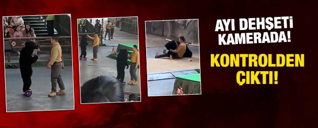 Ayı kontrolden &ccedil;ıktı bakıcısına saldırdı