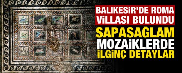 Balıkesir&rsquo;de Roma villası bulundu: Sapasağlam mozaiklerde ilgin&ccedil; fig&uuml;rler