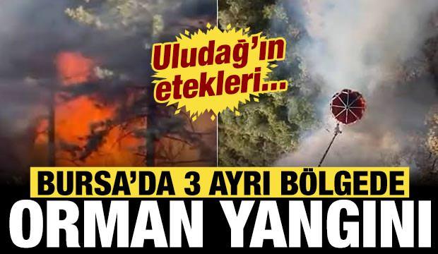 Bursa'da 3 ayrı b&ouml;lgede yangın &ccedil;ıktı: Uludağ'ın etekleri yanıyor!
