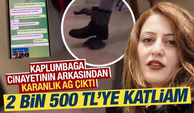 Kaplumbağa cinayetinin arkasından karanlık ağ &ccedil;ıktı: 2 bin 500 TL&rsquo;ye katliam
