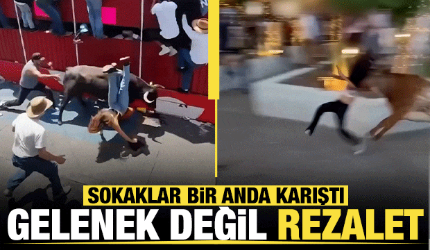 Meksika'da boğa dehşeti: ABD'li kadının kıl payı kurtuluşu kamerada