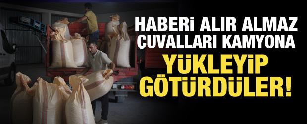 TMO, Ordu&rsquo;da fındık alımına başladı! &Uuml;reticilerden yoğun ilgi