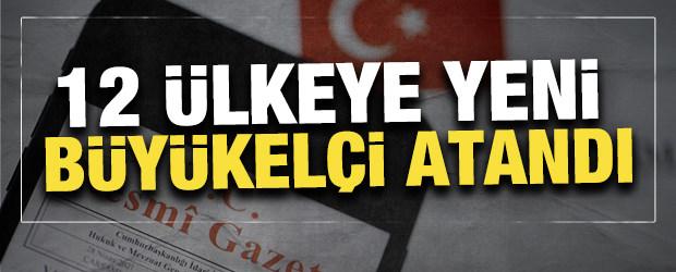 12 &uuml;lkeye yeni b&uuml;y&uuml;kel&ccedil;i atandı