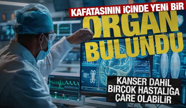Bilim d&uuml;nyasında devrim: Kafatasının i&ccedil;inde gizlenen yeni bir organ keşfedildi