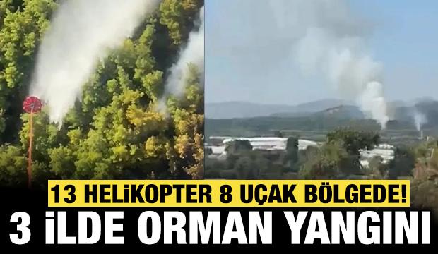Manavgat'ta orman yangını: 75 personel b&ouml;lgede!