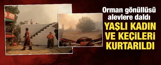 Orman g&ouml;n&uuml;ll&uuml;s&uuml; alevlere daldı, yaşlı kadın ve ke&ccedil;ileri kurtarıldı