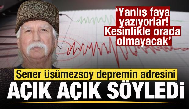 Şener &Uuml;ş&uuml;mezsoy depremin adresini ilan etti: Yanlış faya yazıyorlar! 