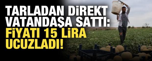 Tarladan direkt vatandaşa sattı: Fiyatı 15 lira ucuzladı!
