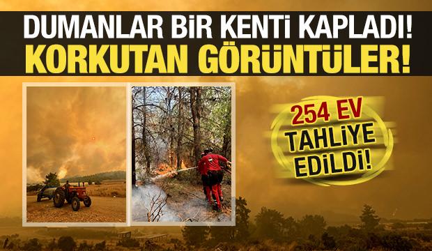 Antalya'dan korkutan g&ouml;r&uuml;nt&uuml;ler! 254 hane tahliye edildi, geniş alana yayıldı