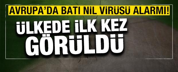Avrupa'da Batı Nil vir&uuml;s&uuml; alarmı! &Uuml;lkede ilk kez g&ouml;r&uuml;ld&uuml;