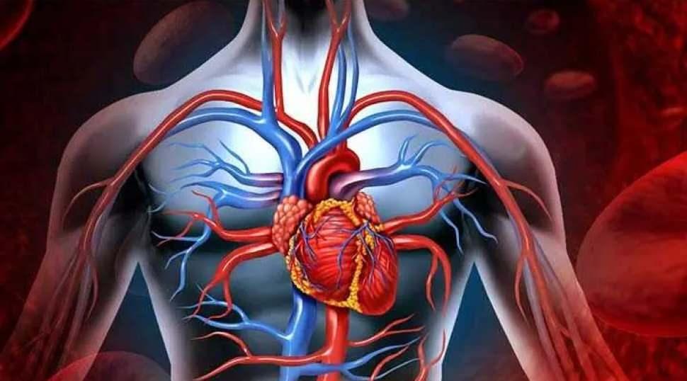 Kalp ve b&ouml;brek rahatsızlığı olanlar dikkat! Avrupa'daki araştırmalar ger&ccedil;eği ortaya koydu