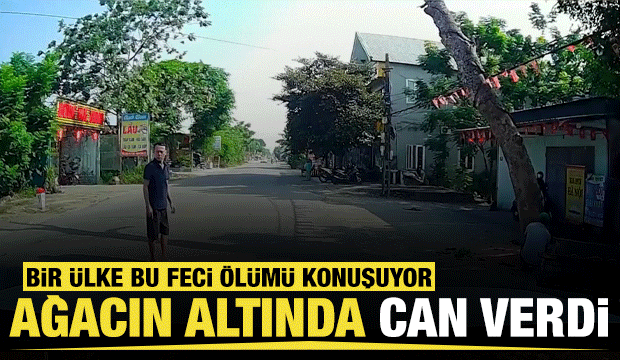 Vietnam'da kesilen ağa&ccedil; motosikletlinin &uuml;zerine devrildi: Bir &ouml;l&uuml;