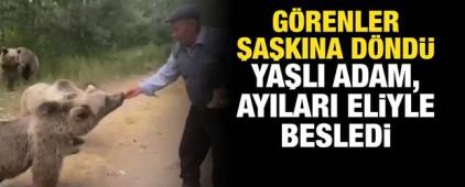 Bitlis'te tehlikeli oyun: Yaşlı adam ayıları eliyle besledi