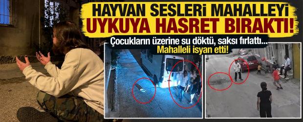 Bursa'da mahalleliyi canından b&ouml;yle bezdirdi, gece yarısı sokaklara d&ouml;k&uuml;ld&uuml;ler