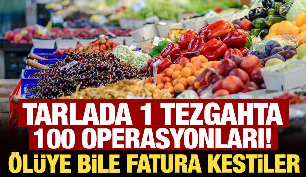 Tarlada 1 tezgahta 100 operasyonları! &Ouml;l&uuml;ye bile fatura kestiler
