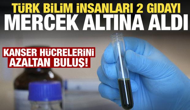 T&uuml;rk bilim insanlarından kanser h&uuml;cresini azaltan buluş!