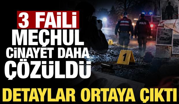 Bakan G&uuml;rlek duyurdu: 3 faili me&ccedil;hul cinayet daha aydınlatıldı