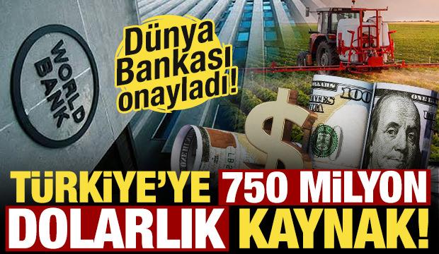 D&uuml;nya Bankası onayladı: Tarıma 750 milyon dolarlık kaynak