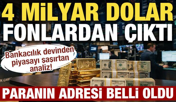 Fonlardan &ccedil;ıkan 4 milyar doların adresi belli oldu: Goldman Sachs'tan dikkat &ccedil;eken analiz
