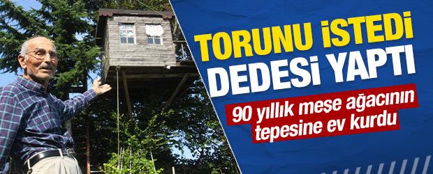 Torunu istedi, dedesi yaptı: 90 yıllık meşe ağacının tepesine ev kurdu