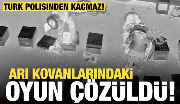 Arı kovanlarından uyuşturucu çıktı! 91 kilo zehir ele geçirildi