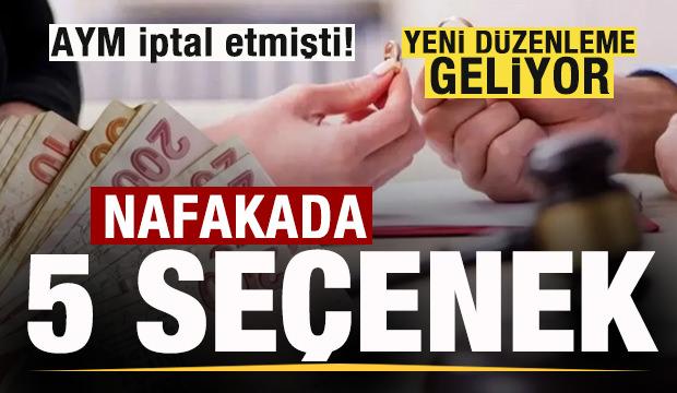 AYM iptal etmişti! Nafaka i&ccedil;in beş form&uuml;l! Yeni d&uuml;zenleme geliyor