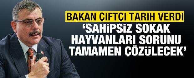 Bakan &Ccedil;ift&ccedil;i: Sahipsiz sokak hayvanları sorunu ekim ayı sonunda tamamen &ccedil;&ouml;z&uuml;lecek