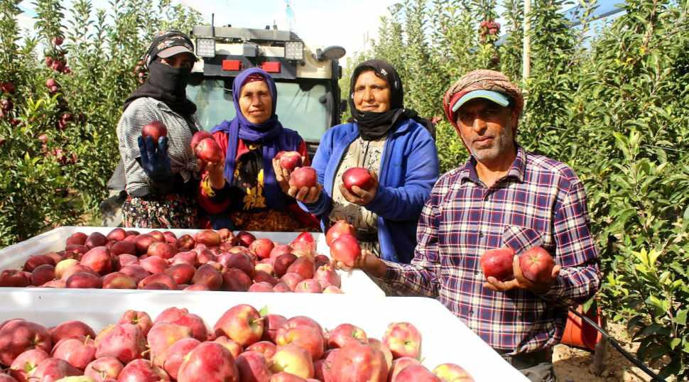 Hobisi gelir kapısı oldu! Tarladan sofralara tonlarca &uuml;retim sağladı!